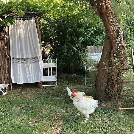 Campagna Tutta Da Vivere Apartment Arquata Scrivia
