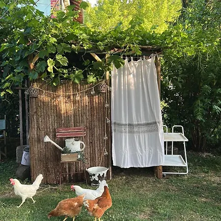Campagna Tutta Da Vivere 公寓